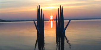 embrace the sun video