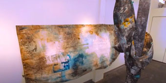 terra incognita video